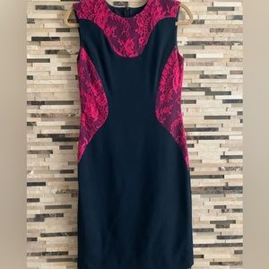 Erdem dark Navy Midi Dress With Hot Pink Lace Panels